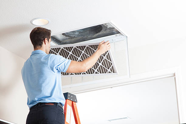 Best HVAC air duct cleaning  in Grafton, WV